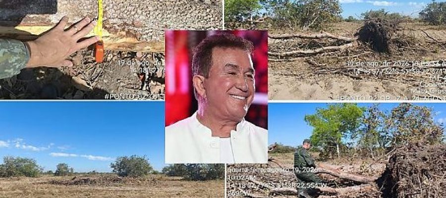 DESMATAMENTO: Amado Batista é multado em R$ 157 mil e tem área de fazenda embargada em MT