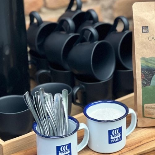 Café com pegada de carbono reduzida: Brasil lidera transformação verde no campo