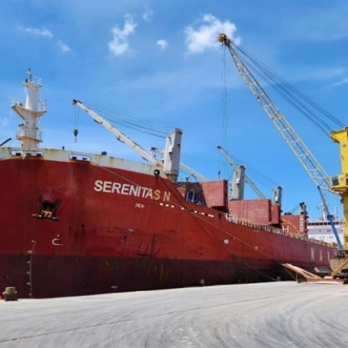 Diversificação redefine exportações agrícolas em 2025