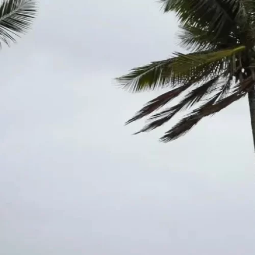 Além dos três estados da Região Sul, áreas ao oeste do território sul-mato-grossense também devem sofrer com volume elevado