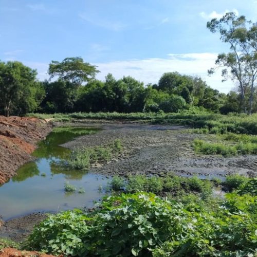 CRIME AMBIENTAL: Sema embarga área por saneamento clandestino despejado em córrego de Mirassol D´Oeste