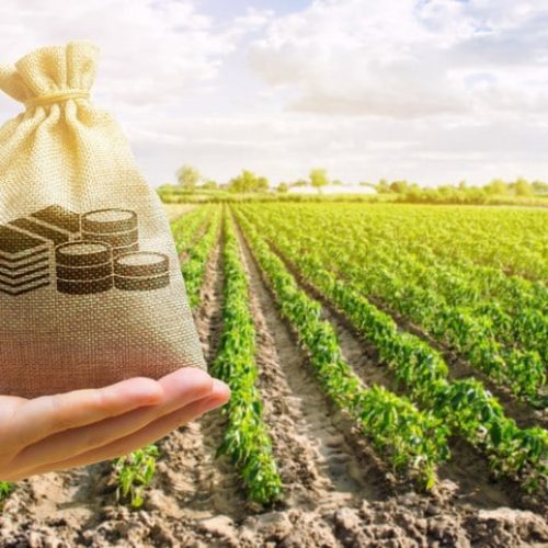 CMN ajusta regras de direcionamentos de crédito rural e do Proagro