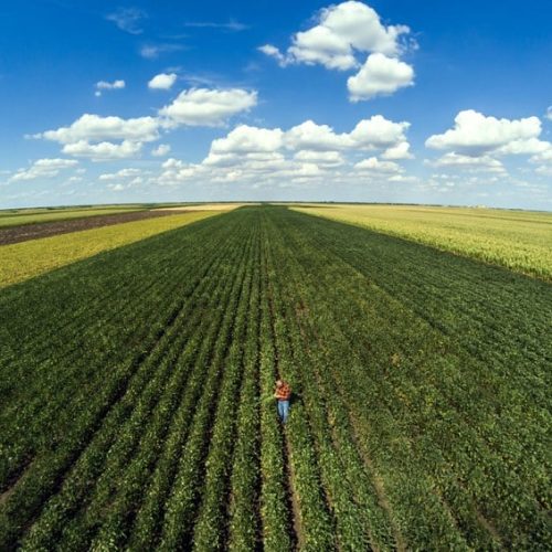 CRÉDITO RURAL: Ministro do Desenvolvimento Agrário quer antecipar debate sobre o Plano Safra