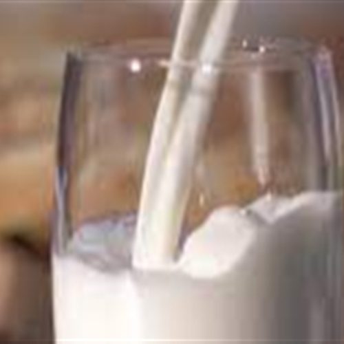 Nutrição lidera custo na pecuária leiteira no Paraná