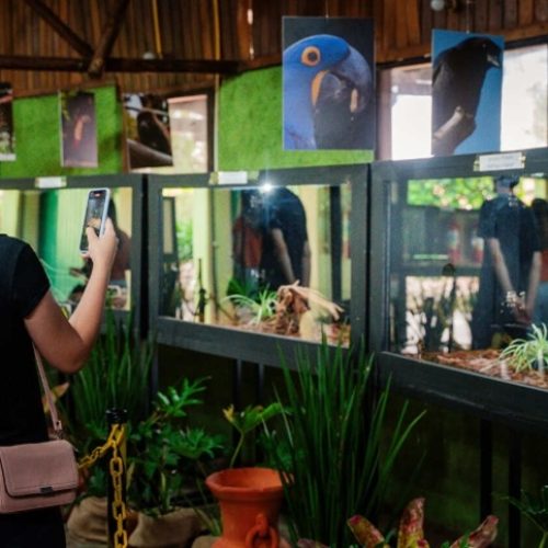 Espaço da Natureza é destaque na Expodireto 2026