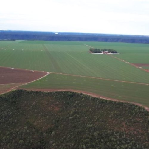 Hipoteca pode proteger arrendamento rural