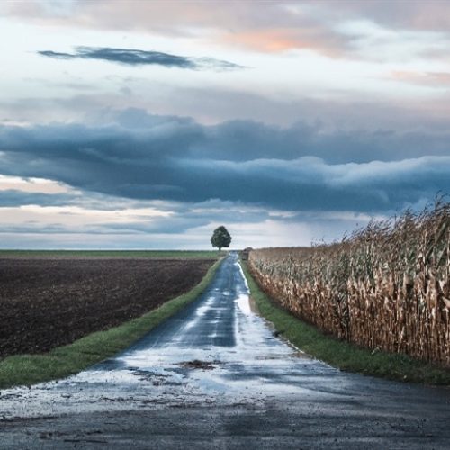 O que torna uma lavoura mais resistente ao clima?
