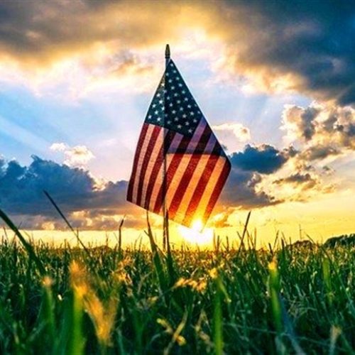 Negociações: Brasil tenta reverter tarifas de 50% impostas por Trump