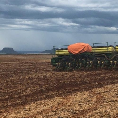 ITR 2026: produtores têm até 30 de setembro para declarar
