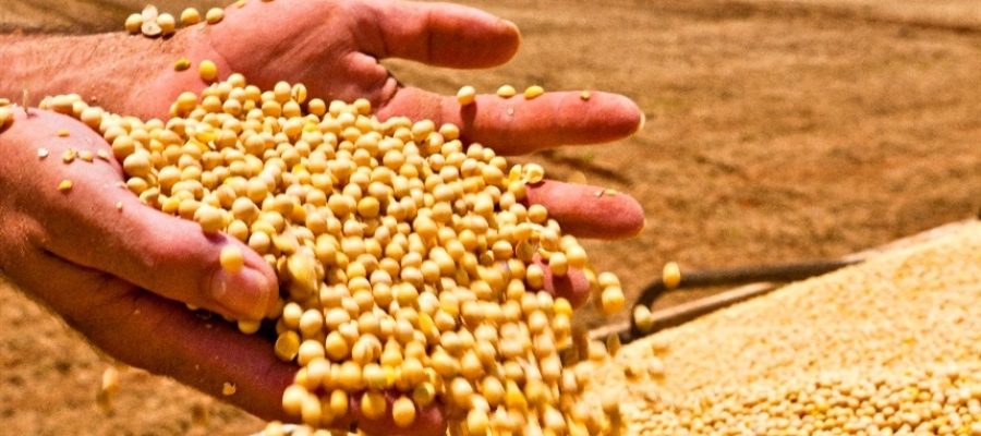 Óleo de soja sustenta alta da indústria americana