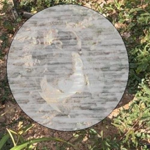 CUIABÁ-MT: Crânio humano é encontrado em matagal da Ponte de Ferro