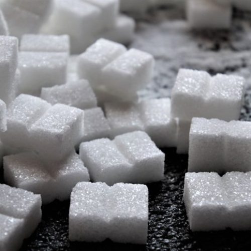 Professor alerta para endividamento no setor sucroalcooleiro