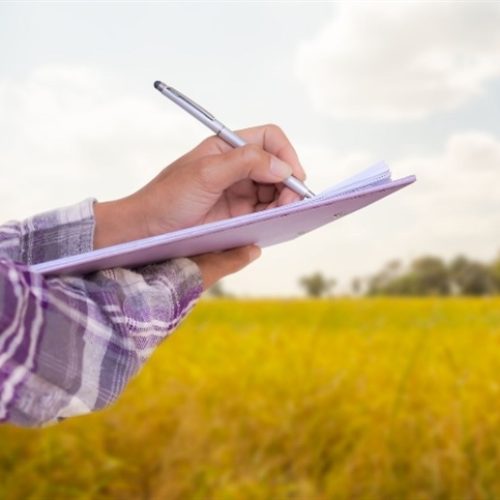 Advogados aprofundam contratos rurais em curso