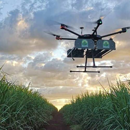 Drones impulsionam nova era da agricultura