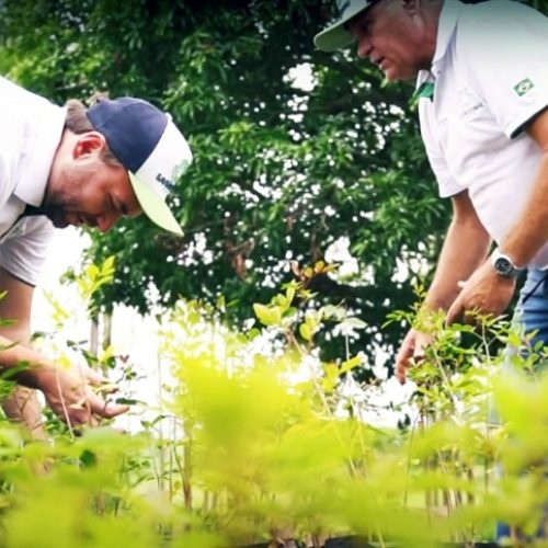 Diagnóstico ESG valoriza práticas no campo