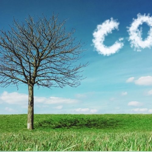 Entenda como o PIB Verde pode transformar o agro brasileiro