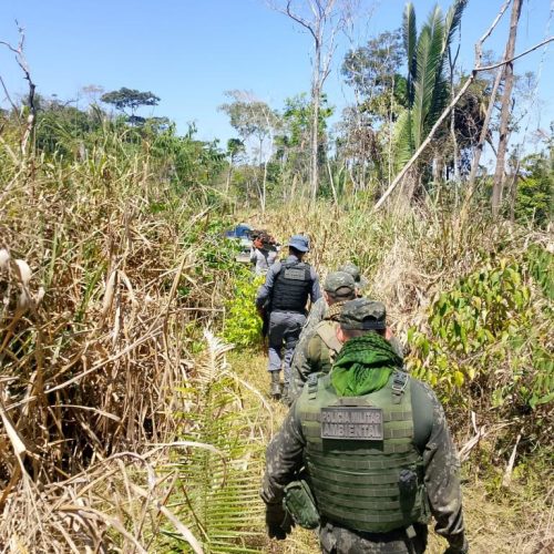 EM COLNIZA: Polícia Militar fecha área de desmatamento ilegal em fazenda e prende três homens em flagrante