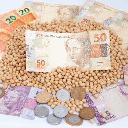 Soja valorizou até 11% em janeiro; possível redução de oferta deve elevar ainda mais os preços