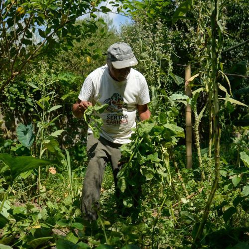 Edital seleciona 36 projetos para fortalecer agricultura familiar