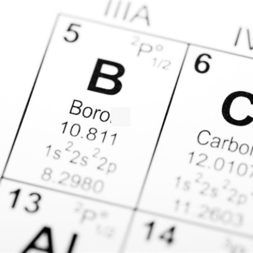 Boro: qual a importância do micronutriente para o desenvolvimento das lavouras?