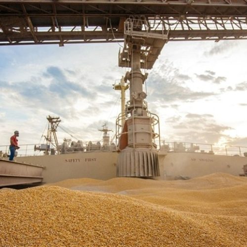 Exportações brasileiras de milho disparam em abril
