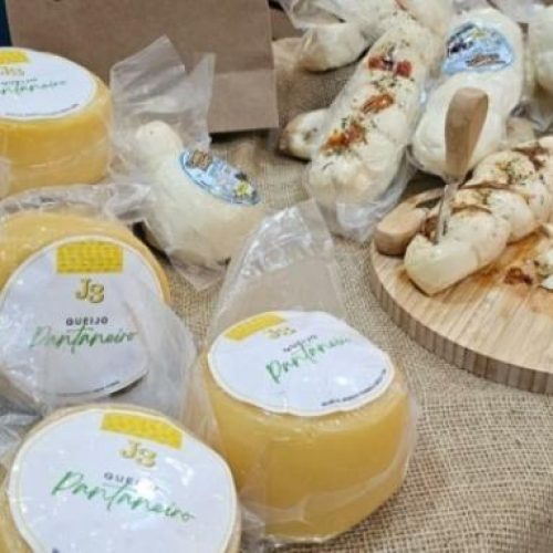 ENTRADA GRATUITA: Festival de queijos apresenta concurso, produtores regionais em oficinas em Cuiabá