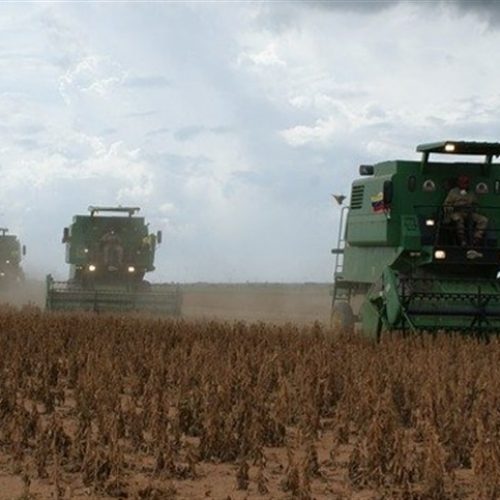Contaminação ameaça eficiência de máquinas agrícolas