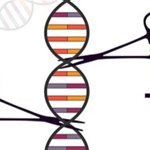 Tecnologia do agro no centro de ação sobre patentes