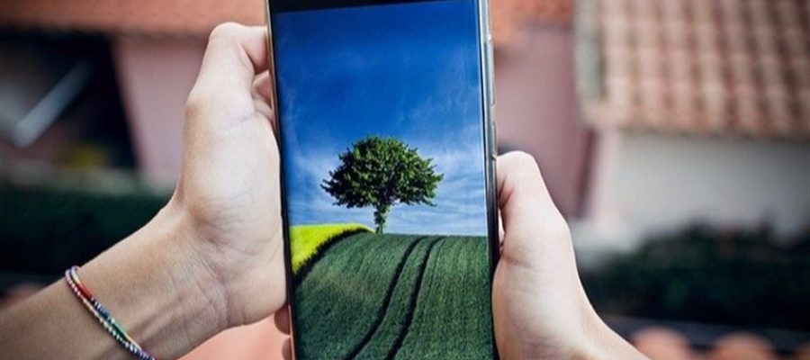 Tecnologia reduz desperdícios e melhora decisões