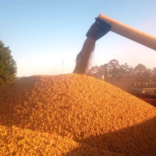 Fenasoja Soy Summit: descarbonização e combustíveis verdes pautam o maior debate