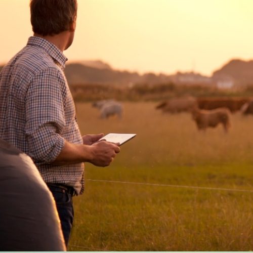Disciplina e gestão ganham peso na recuperação rural