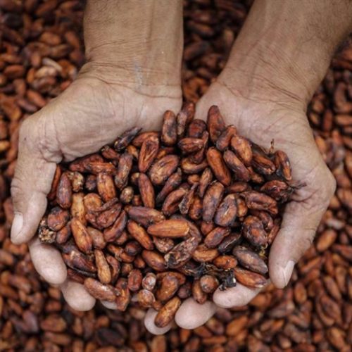 Commodities exigem avanço na agregação de valor