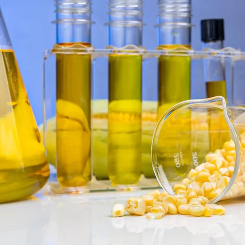 Indústria de etanol de milho deve registrar margem de até 34,7% em 25/26, diz consultoria