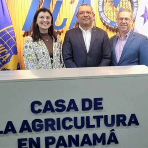 Panamá pode reforçar a logística de fertilizantes