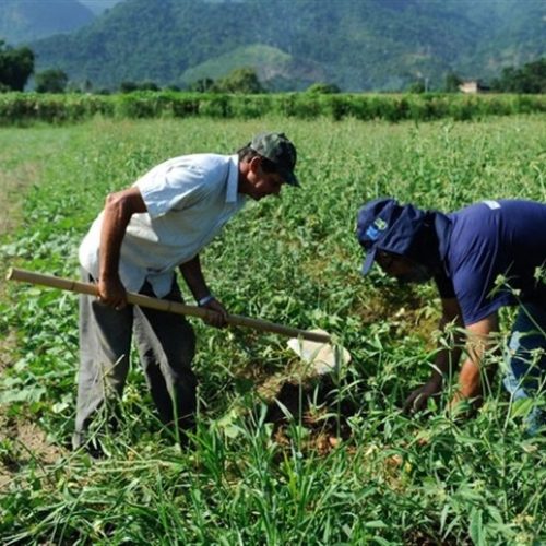 Segurança jurídica para agricultores familiares