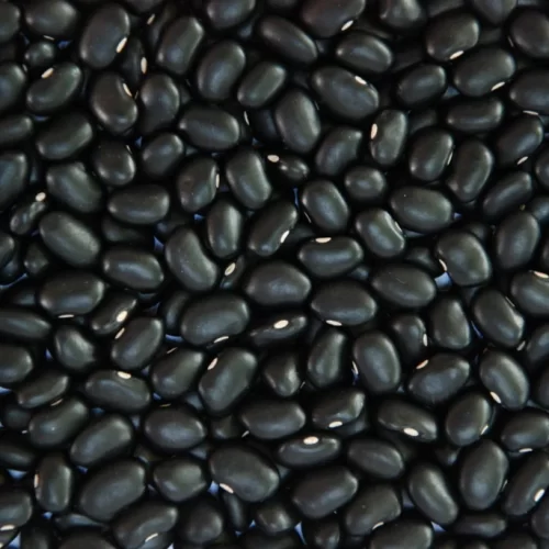 OPINIÃO: Ibrafe e USDBC alinham e cooperação internacional em prol dos feijões