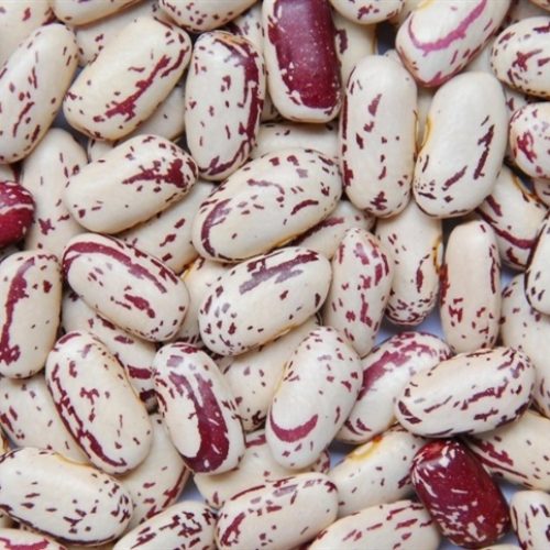 Mercado de feijão reage com boas vendas