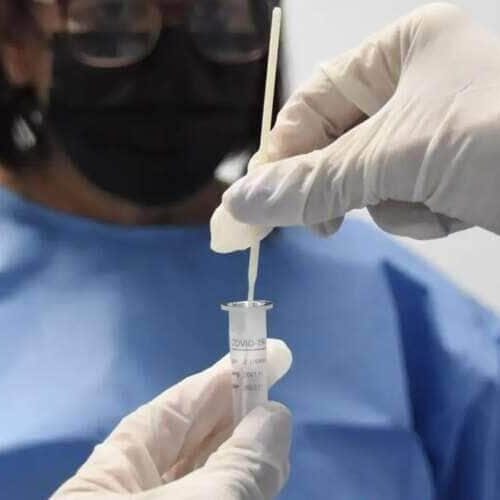 Nova linhagem da Covid-19 circula em Mato Grosso