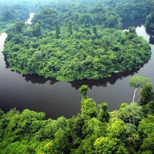 Governo de MT e O.N.E. Amazon firmam convênio de US$ 100 milhões para ações de preservação e desenvolvimento sustentável