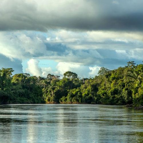 EM NOVA IORQUE: Governo de MT faz parceria com O.N.E. Amazon para investimento em projetos sustentáveis no Estado