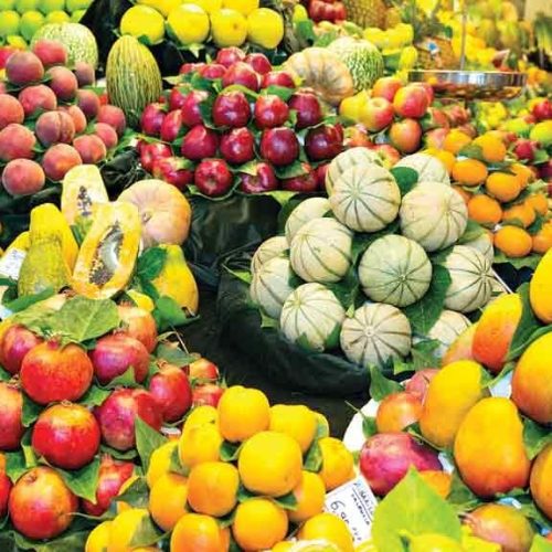 COMÉRCIO EXTERIOR: Tarifaço de Trump coloca em risco principal polo exportador de frutas do Brasil