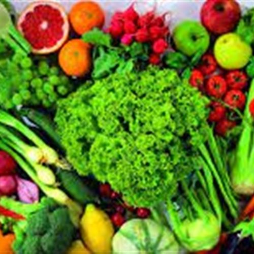 Hortifrútis: calor intenso desafia produção em 2025