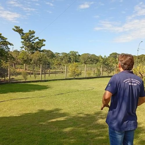 ALERTA: Mapa confirma caso de gripe aviária em Acorizal; equipes do Indea atuam para conter foco