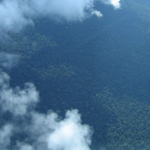 Petrobras comprará R$ 450 milhões em créditos de carbono na Amazônia