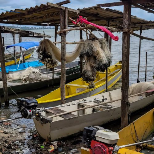 Gestão do seguro-defeso passará para Ministério do Trabalho em outubro