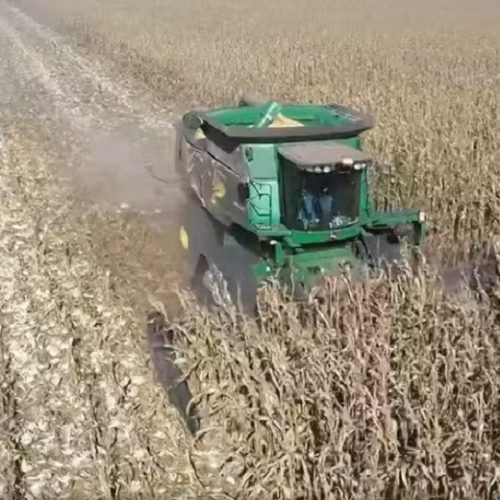Agosto será mais quente e seco em MT, mas clima favorece colheita no campo, diz Conab
