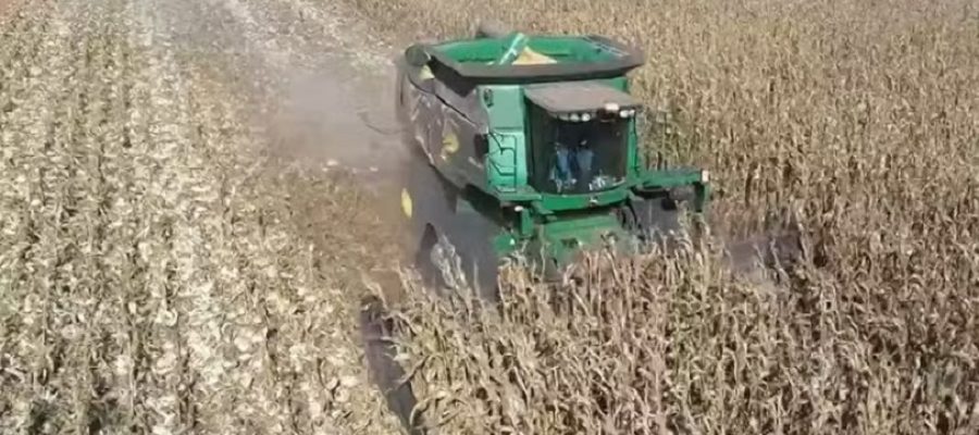 Agosto será mais quente e seco em MT, mas clima favorece colheita no campo, diz Conab