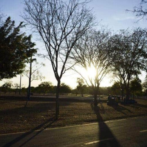 Regiões de Mato Grosso estão sob alerta de baixa umidade