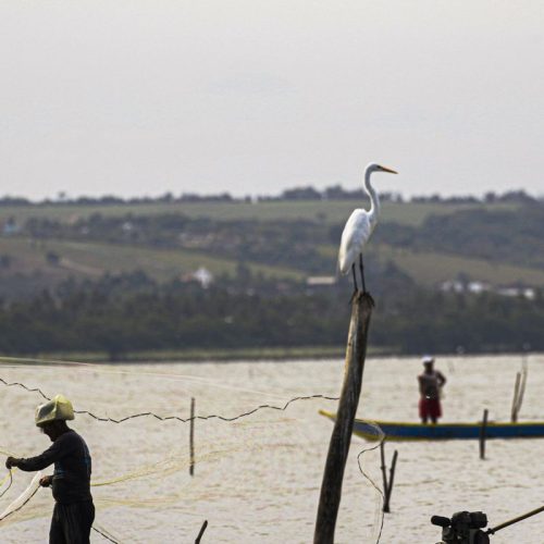 Gestão do seguro-defeso passa oficialmente ao Ministério do Trabalho