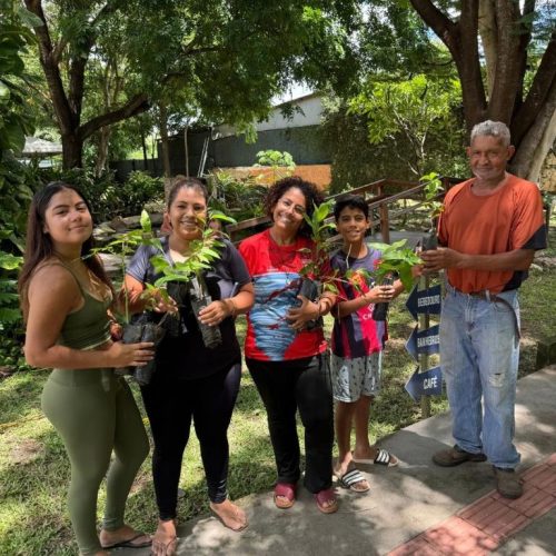 Museu promove dia do meio ambiente com doação de mudas, oficinas e programação para toda a família